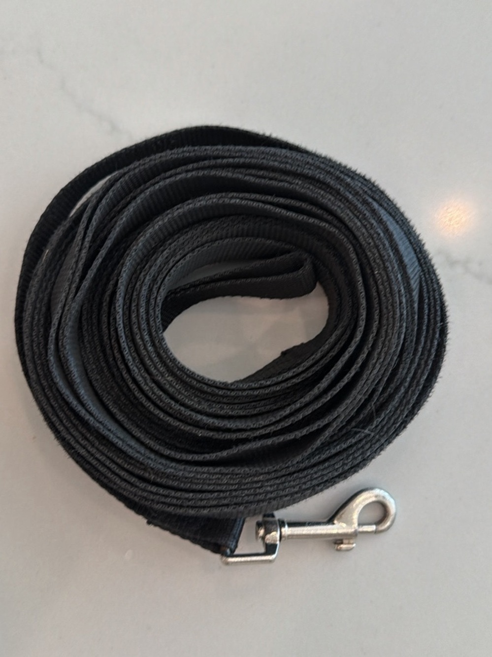 Amazon Black Heavy-Duty Dog Leash with Metal Snap Hook 30 ft